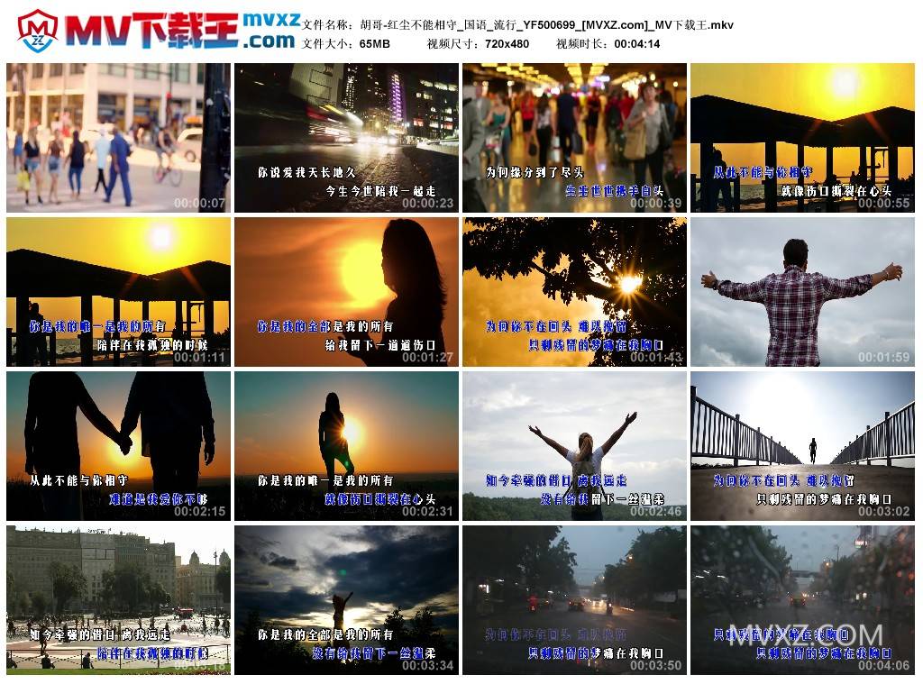 胡哥-红尘不能相守_国语_流行_YF500699